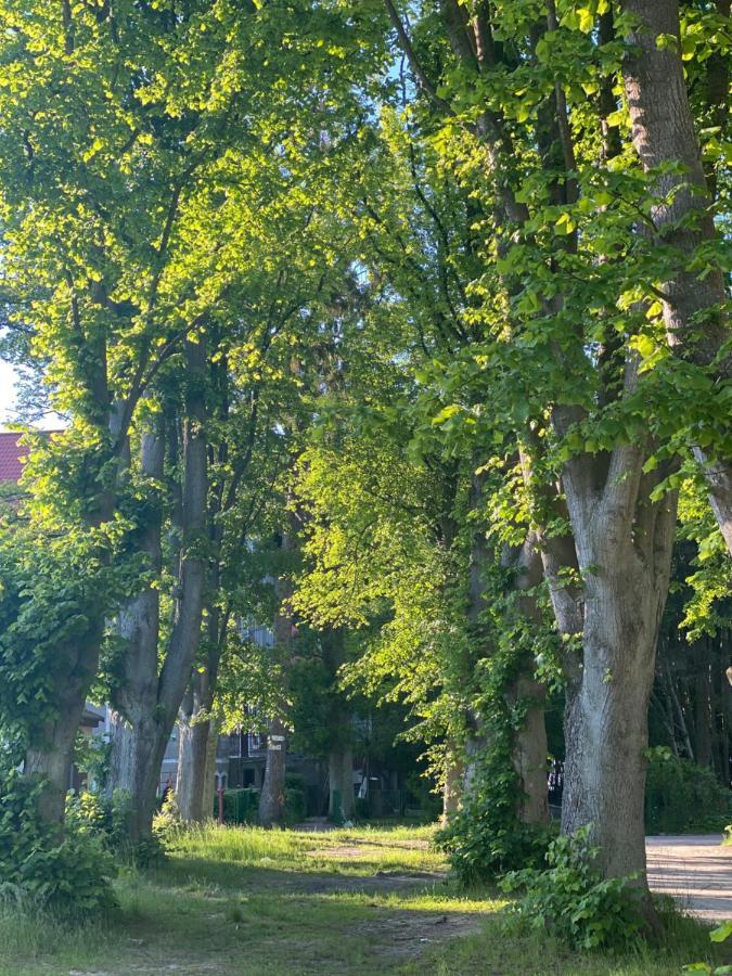 Holiday Siesta Pensjonat, Domki Rewal Exteriör bild