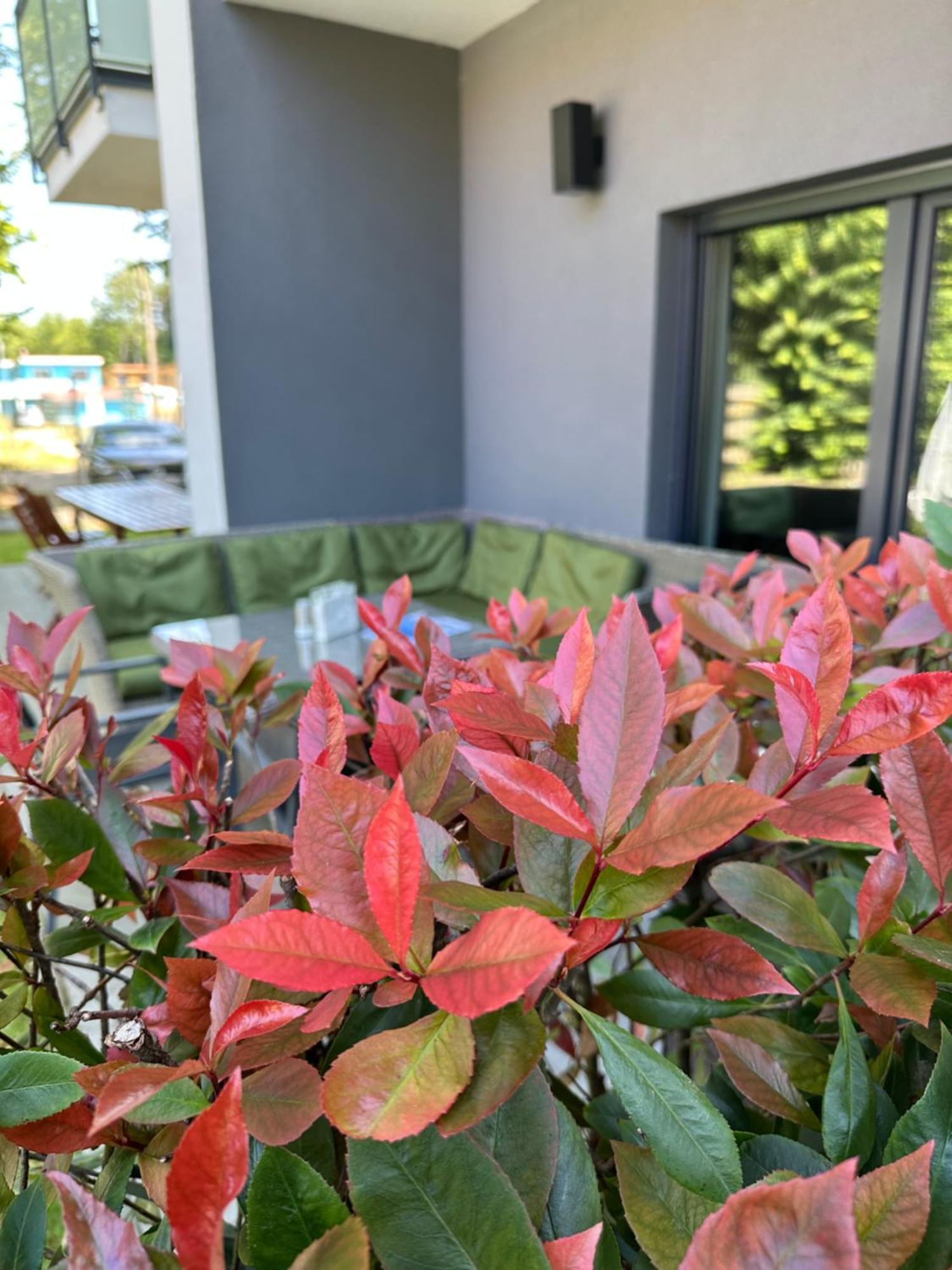 Holiday Siesta Pensjonat, Domki Rewal Exteriör bild